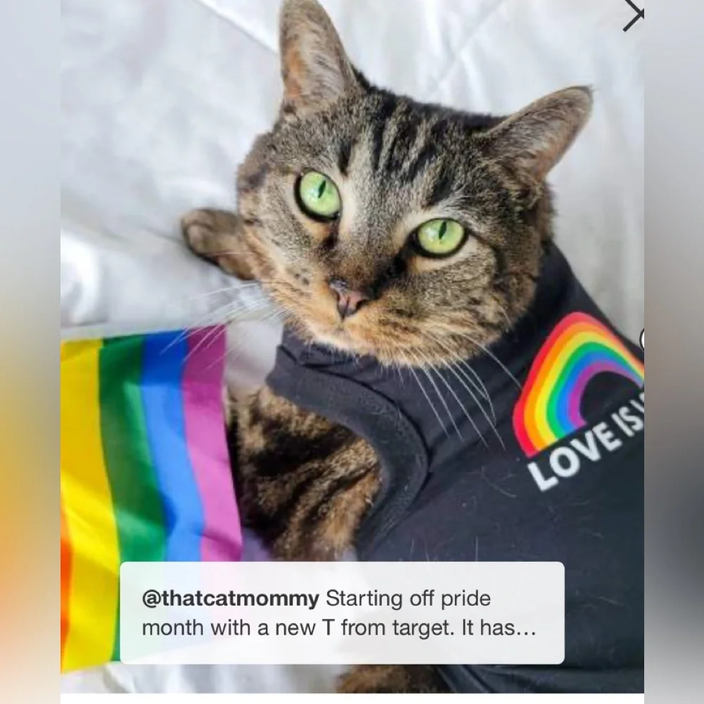 Pride Dog & Cat tank by Boots & Barkley size L/XL